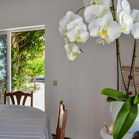 招待所 Villa Brunello Rooms 阿尔热祖尔